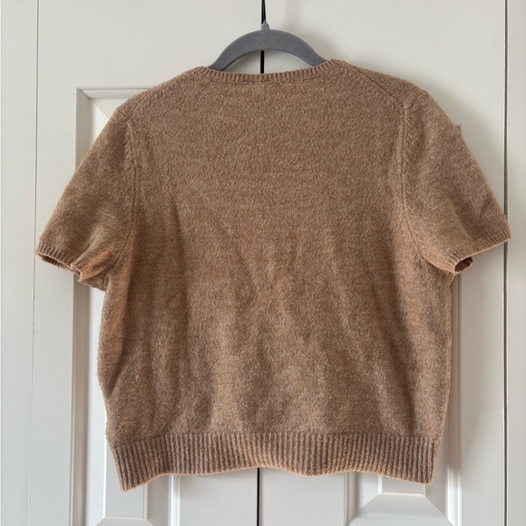 Short Sleeve Crewneck Sweater - Camel - Picture 5 of 6